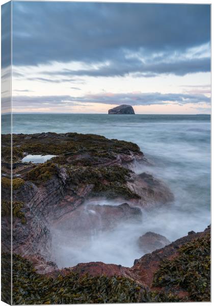 Looking out to Bass Rock Canvas Print by Miles Gray