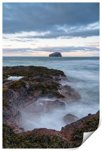 Looking out to Bass Rock Print by Miles Gray