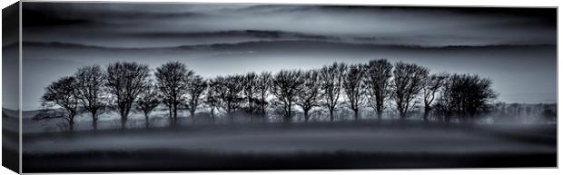 Tree Silhouettes in Mist Canvas Print by Mick Blakey