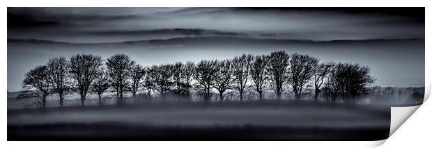 Tree Silhouettes in Mist Print by Mick Blakey