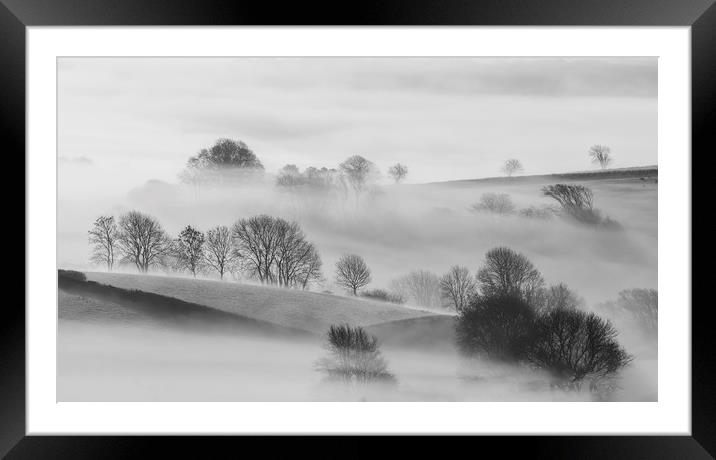 Trees in Mist  Framed Mounted Print by Mick Blakey