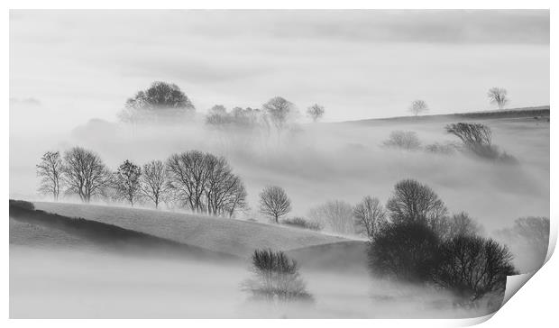 Trees in Mist  Print by Mick Blakey