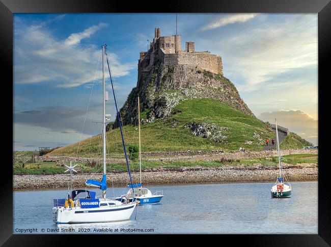 Lindisfarne Castle and Harbour Framed Print by David Smith