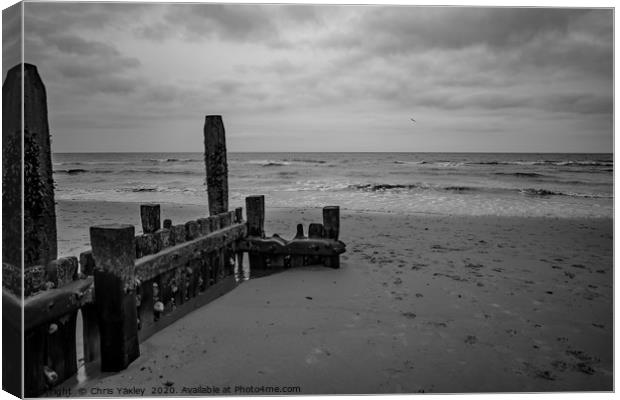 Norfolk coast protection Canvas Print by Chris Yaxley
