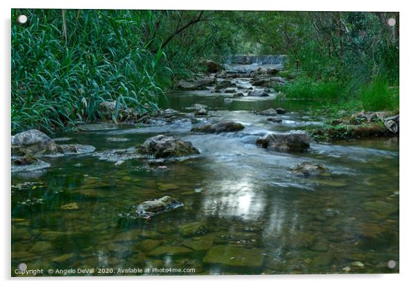 River scenery in Fonte da Benemola Acrylic by Angelo DeVal