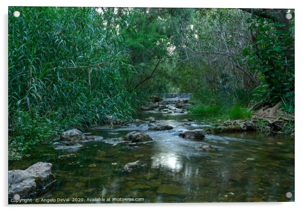 Fonte da Benemola River Scene Acrylic by Angelo DeVal