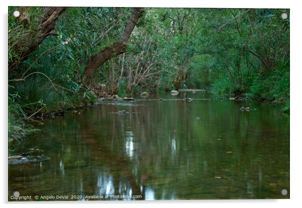 Peaceful River in Fonte da Benemola Acrylic by Angelo DeVal