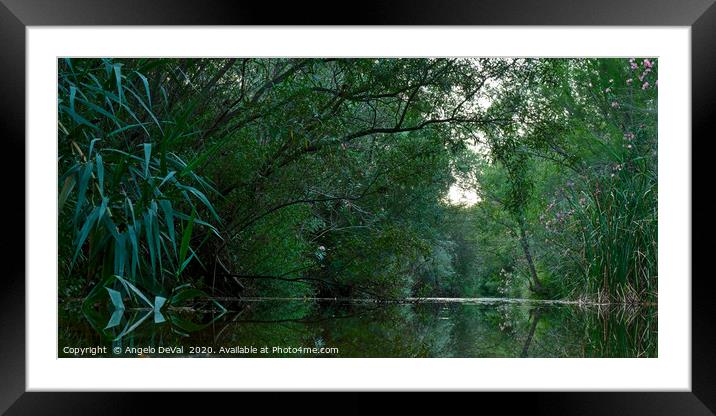 Calm river scenery in Fonte da Benemola. Querenca Framed Mounted Print by Angelo DeVal