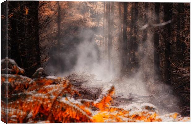 Enchanting Autumn Forest Scene Canvas Print by Simon Marlow
