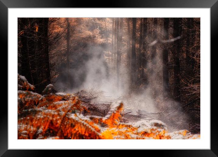 Enchanting Autumn Forest Scene Framed Mounted Print by Simon Marlow