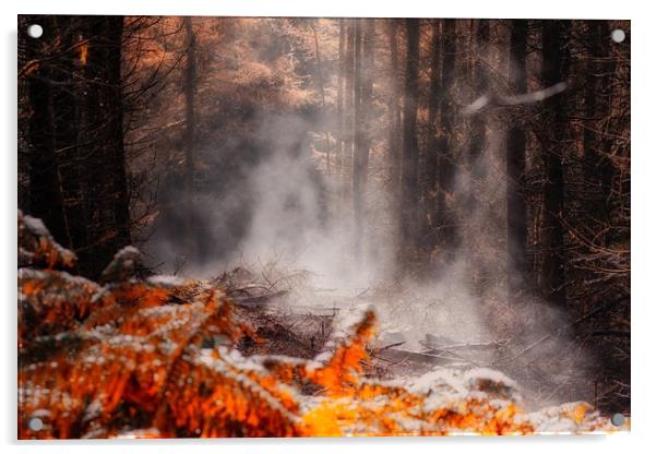 Enchanting Autumn Forest Scene Acrylic by Simon Marlow