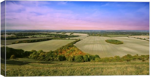 Wide open landscape taken at Inkpen, Berkshire Canvas Print by Simon Marlow