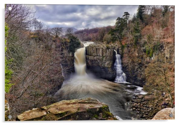 High Force Waterfall  Acrylic by Phil Page