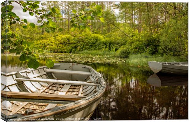 The fishing Boat Canvas Print by raymond mcintosh