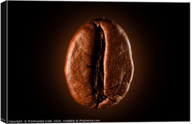 Single coffee bean against black background Canvas Print by Przemek Iciak