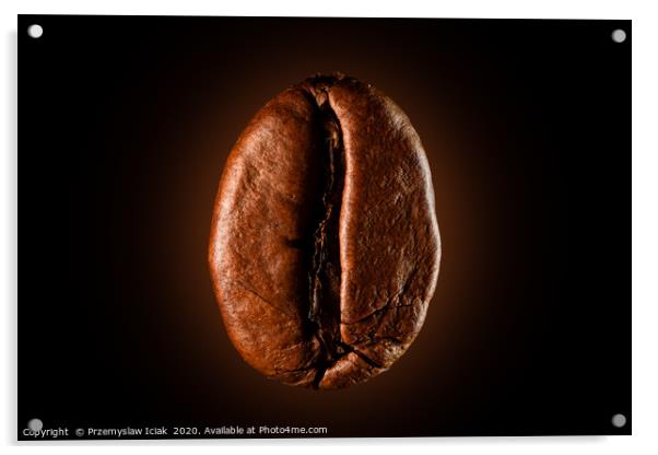 Single coffee bean against black background Acrylic by Przemek Iciak