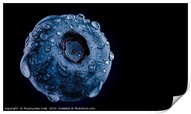 Macro shoot of blueberry against black background Print by Przemek Iciak