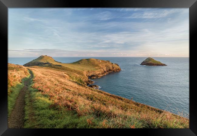 Golden Hour, The Rumps, Cornwall Framed Print by Mick Blakey