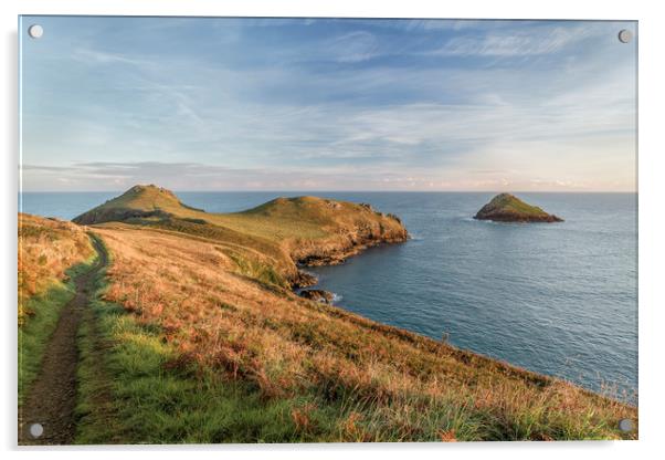 Golden Hour, The Rumps, Cornwall Acrylic by Mick Blakey