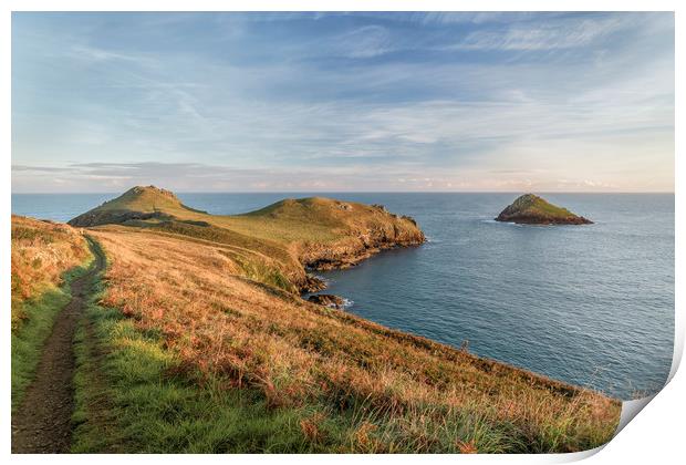 Golden Hour, The Rumps, Cornwall Print by Mick Blakey