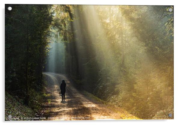 Woman in sun rays walking with dog Acrylic by Przemek Iciak