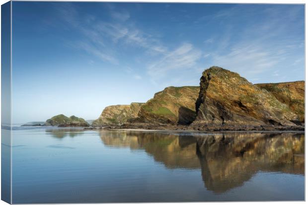 Reflections, Whipsiderry Beach, Cornwall Canvas Print by Mick Blakey