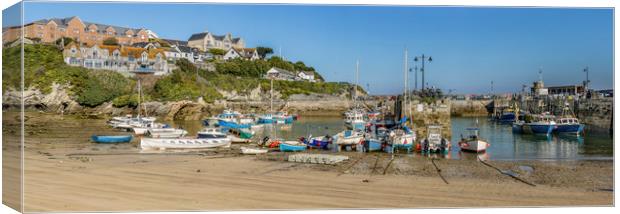 Newquay Harbour  Canvas Print by Mick Blakey