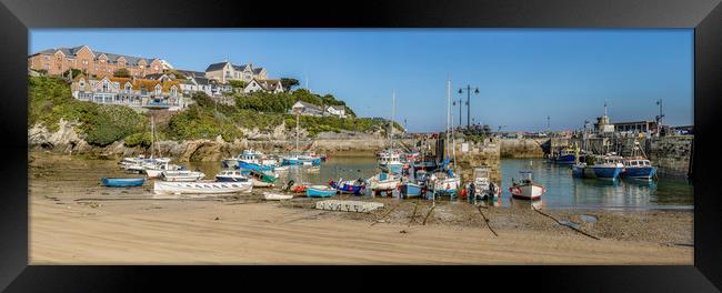 Newquay Harbour  Framed Print by Mick Blakey