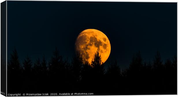 Orange moon on night sky with trees in foreground. Canvas Print by Przemek Iciak