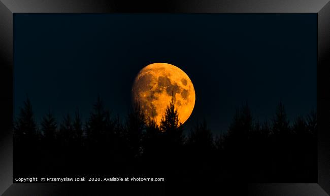 Orange moon on night sky with trees in foreground. Framed Print by Przemek Iciak