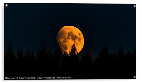 Orange moon on night sky with trees in foreground. Acrylic by Przemek Iciak
