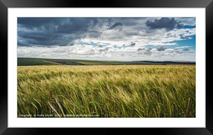 Fields of gold Framed Mounted Print by mark Smith