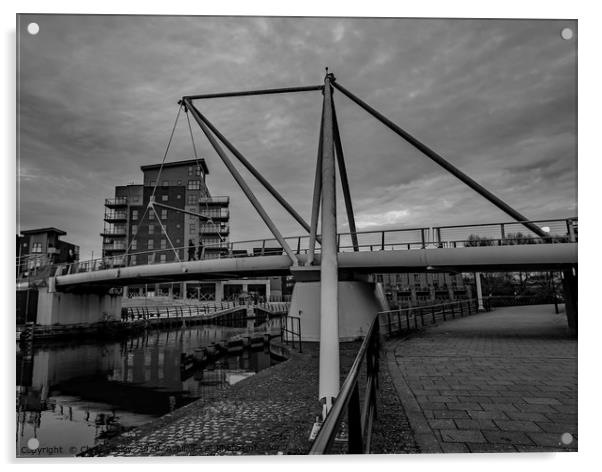 Novi Sad Friendship bridge, Norwich Acrylic by Chris Yaxley
