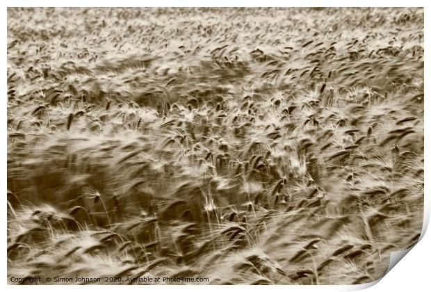 Wind blown Con Print by Simon Johnson