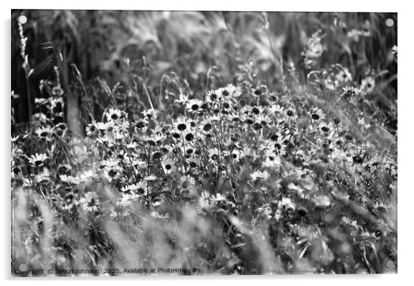 Wind blown daisy's  Acrylic by Simon Johnson