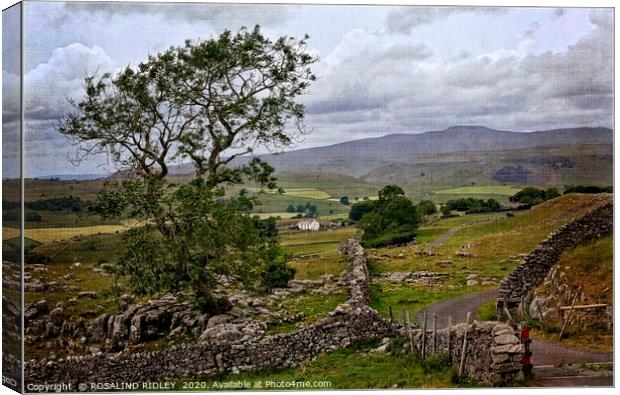 ""Hazy day across Settle Moor" Canvas Print by ROS RIDLEY
