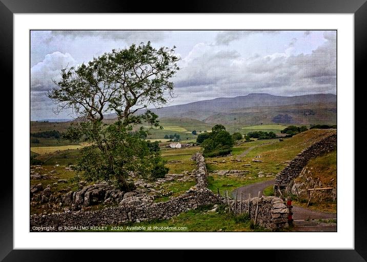 ""Hazy day across Settle Moor" Framed Mounted Print by ROS RIDLEY