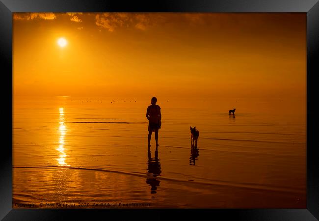 Beach Sunset with the Dogs Framed Print by Alan Simpson