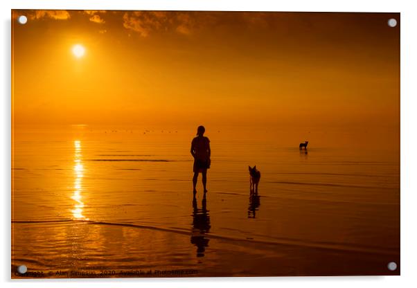 Beach Sunset with the Dogs Acrylic by Alan Simpson