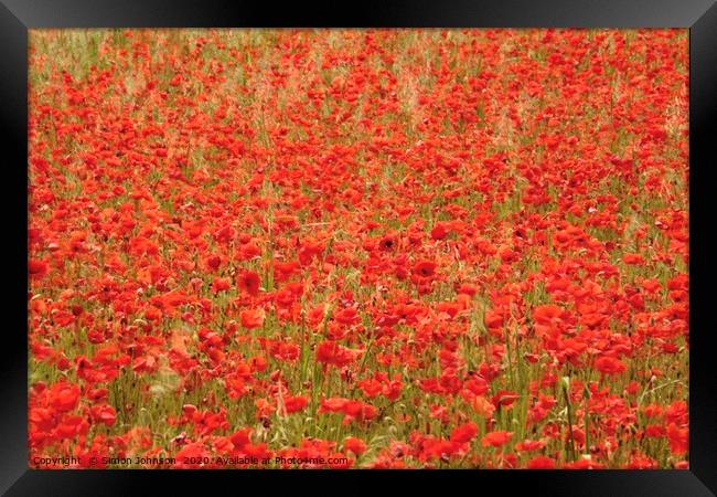 Impressionist poppies Framed Print by Simon Johnson