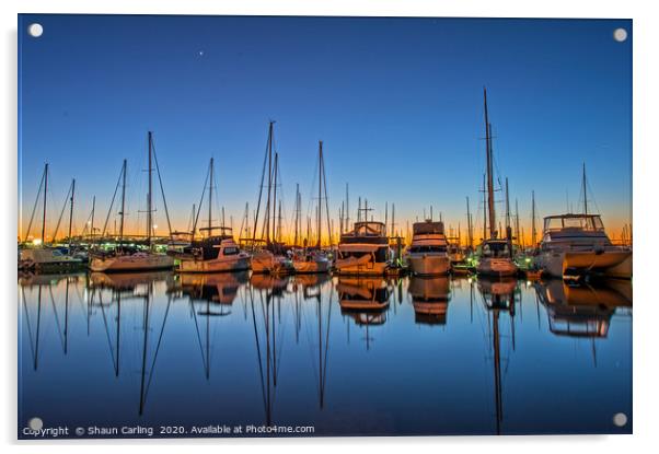 Early Morning At Manly Marina Acrylic by Shaun Carling
