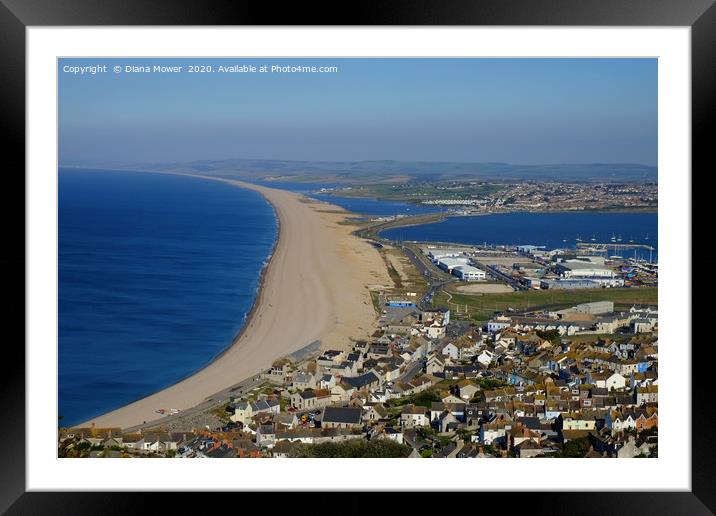 Chesil Beach Dorset Framed Mounted Print by Diana Mower