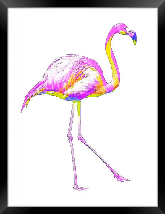 Prideful Rainbow Flamingo Framed Mounted Print by Beryl Curran