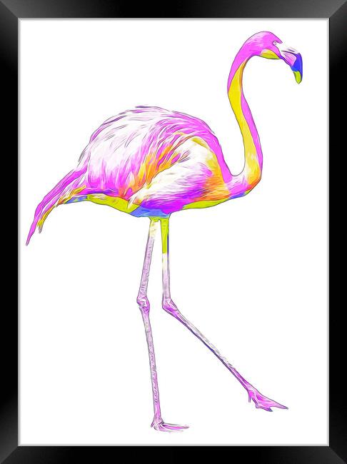 Prideful Rainbow Flamingo Framed Print by Beryl Curran