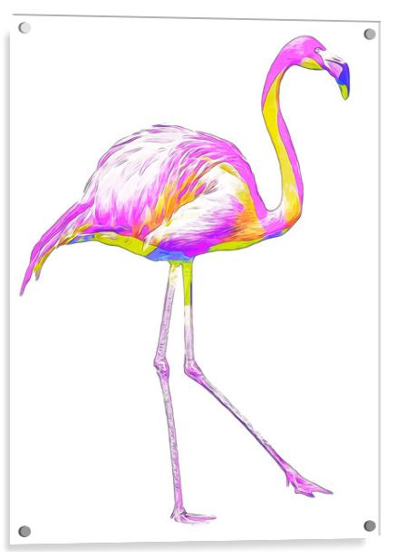 Prideful Rainbow Flamingo Acrylic by Beryl Curran