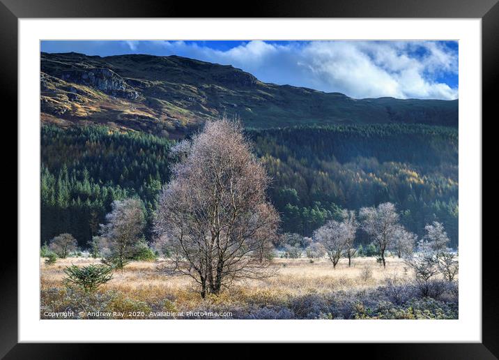 Glen Goil on a frosty morning Framed Mounted Print by Andrew Ray