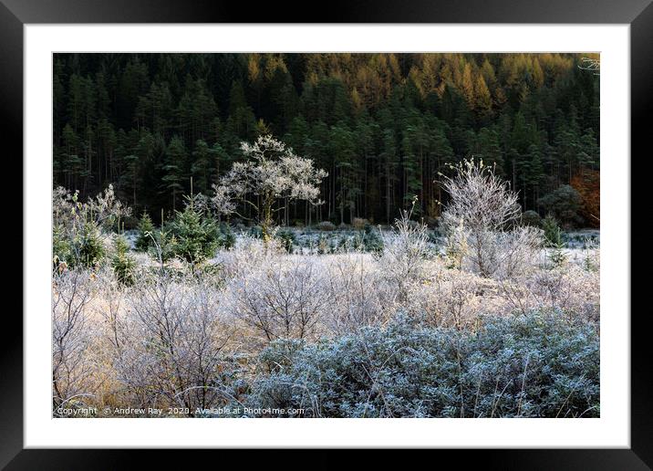 Frost in Glen Goil Framed Mounted Print by Andrew Ray