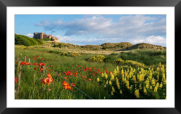 Bamburgh poppies Framed Mounted Print by Marcia Reay