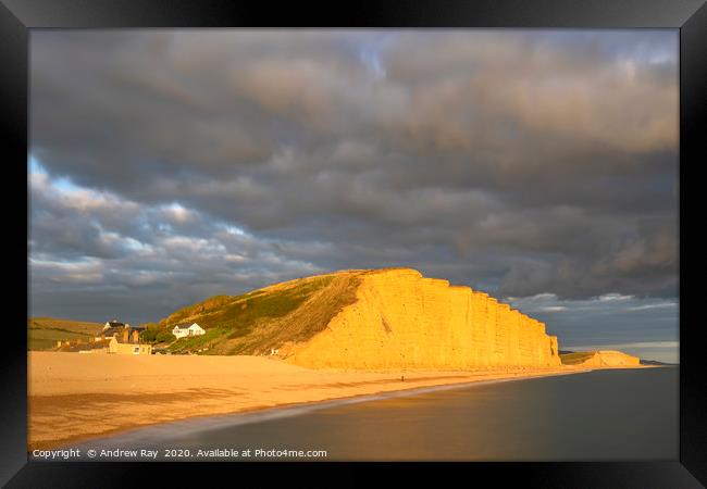 Evening light on East Cliff (West Bay) Framed Print by Andrew Ray