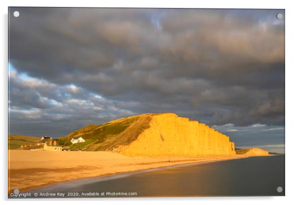 Evening light on East Cliff (West Bay) Acrylic by Andrew Ray